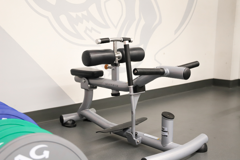 Exercise equipment in the Jag.